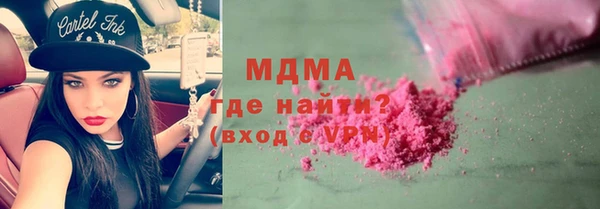 индика Дмитров