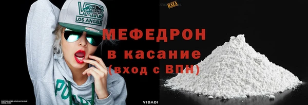 молекула духа Новозыбков