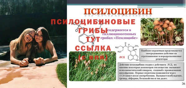 спайс Нефтегорск